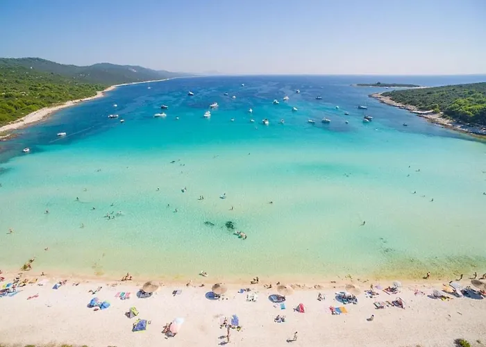 Διαμέρισμα Zvone